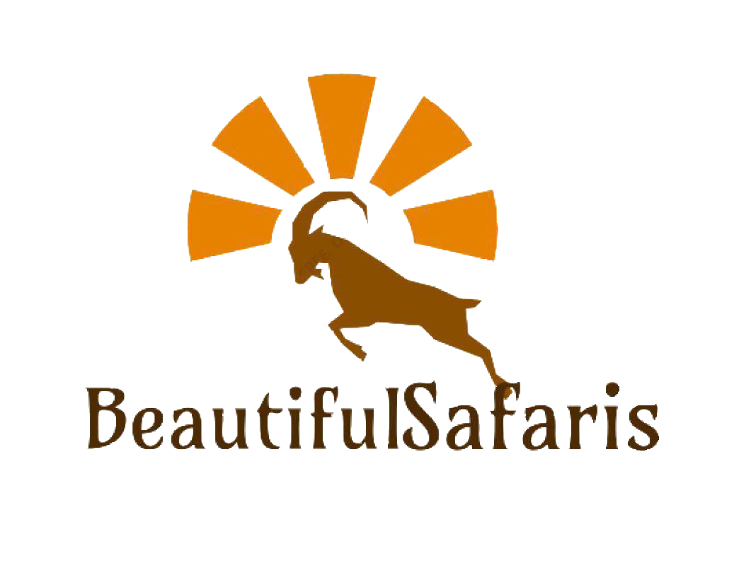 Beautiful Safaris